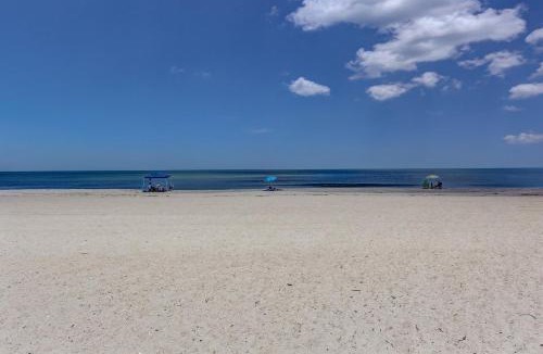 Ocean Cay Apartment | DogFriendly Oceanfront Condo