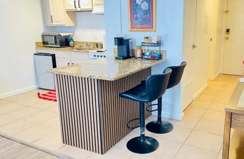 Downtown Jacksonville Apartment | Downtown City View Loft