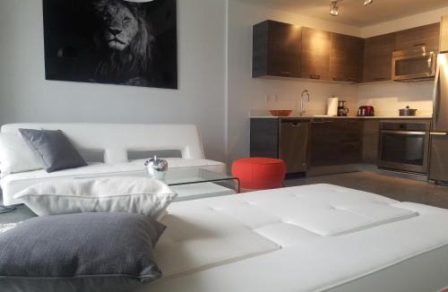 Downtown Miami Apartment | Downtown Miami Deluxe Apartment