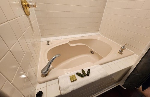 Lookout Valley Neighborhood Association Hotel | Elder Mountain Room at Tennessee RiverPlace