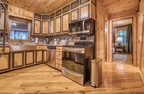 Ellijay Cabin | Ellijay Luxe Cabin - Hot Tub~Sauna~Cold Plunge