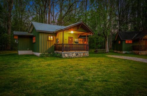 Pittman Center Ski Chalet | Emma's Cottage #537