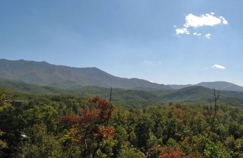 Black Bear Falls Cabin | Endless View, 3 Bedrooms, Pool Access, Pool Table, Free WiFi, Sleeps 10