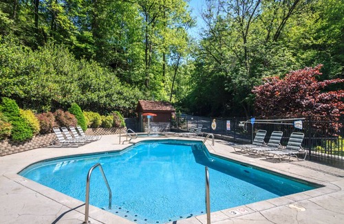 Black Bear Falls Cabin | Endless View, 3 Bedrooms, Pool Access, Pool Table, Free WiFi, Sleeps 10
