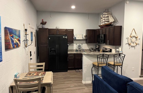 Port Richey House | ❤️English Tudor Guest House fenced yard BRING PET! Mini Donkey to pet❤️ MAY SALE!