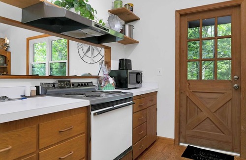 Brevard Cabin | EPIC Blue Ridge SUNSET VIEW, 12 acres, light/bright 10 min to dtn! Dogs welcome!