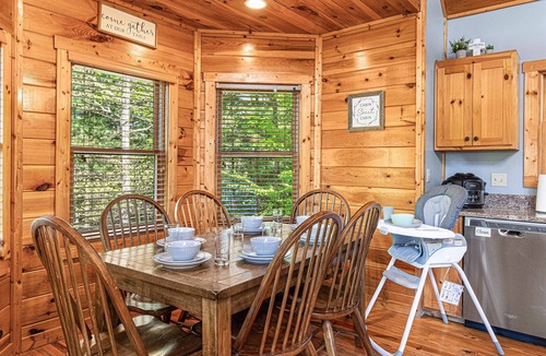Cosby Cabin | EPIC Outdoor Area*FirePit*HotTub*MtnViews*Secluded