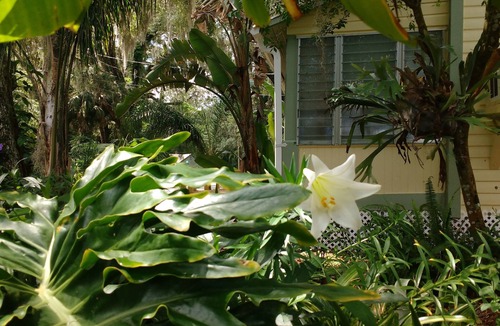 Glenwood House | EXPERIENCE AUTHENTIC OLD FLORIDA @ THIS CRACKER COTTAGE; WALK TO DE LEON SPRINGS