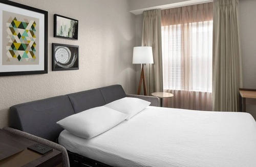 Oldsmar Hotel | Extended Tampa Getaway: Full Kitchen Suites, Pets Welcome! | 3 Units