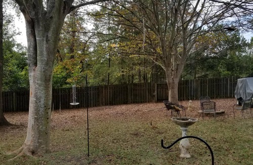 North Augusta House | Fantastic 3 Bed/2 Bath Near the Augusta National