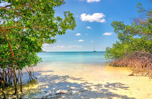 Long Key Resort | Fiesta Key RV Resort Standard Room 2