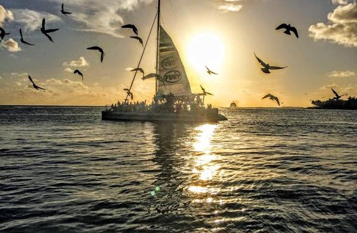 Long Key Resort | Fiesta Key RV Resort Waterfront Cottage 34