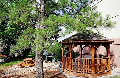 Ashley Oaks Hotel | Frank H McClung Museum Tour! 3 Pet-friendly Suites w/Kitchen & FREE Parking!