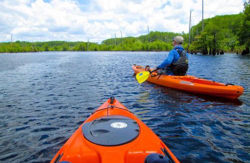 Wewahitchka Other | Free Kayak Included Dead Lakes Glamping Getaway