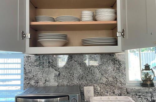 Palm Harbor House | Frog & Monkey Nest: golfing, beaches, downtown Palm Harbor