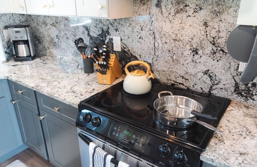 Palm Harbor House | Frog & Monkey Nest: golfing, beaches, downtown Palm Harbor