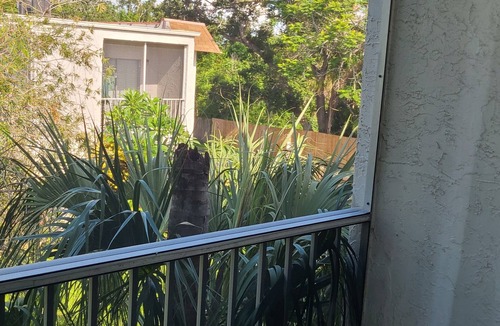 Clearwater Apartment | Furnished Mid-term Rental in Peaceful 2BR Near Everything in Clearwater
