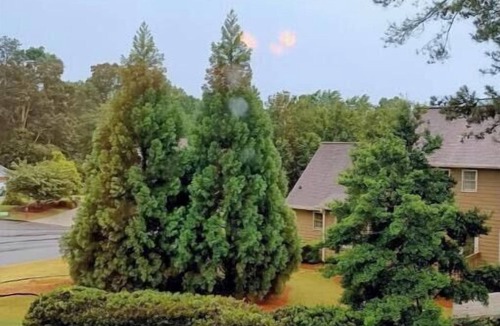 Snellville Apartment | Garden apt, 1 bedroom, great for corporate stays