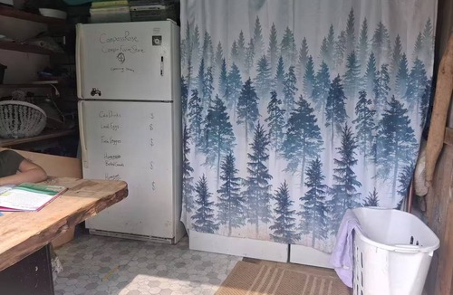 Laurel Bloomery RV Rental | Geodesic Dome Glamping in Laurel Bloomery, TN