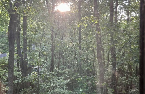 Big Canoe Apartment | GLORIOUSLY PRIVATE . TUCKED INN at BIG CANOE - NORTH GA MOUNTAINS!