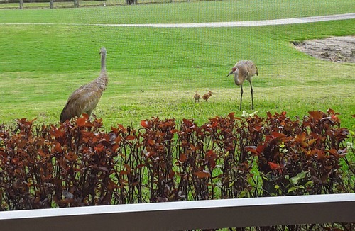 Herons Glen House | Golf & Pond View home in gated community, sleeps 6