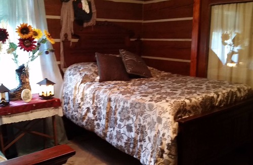 Wilson Creek Cabin | Grayson County Gourmet Getaway - NEW Unlimited High speed wifi and Central A/C!