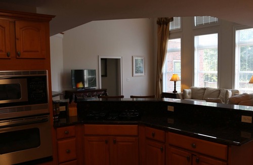 Five Forks House | GREENVILLE, SC WATERFRONT EXECUTIVE HOME -WIFI GAME RM/STUDY GREAT VIEW