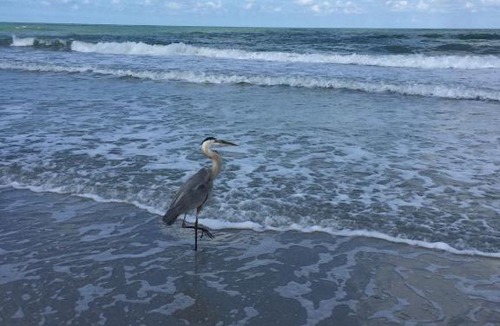 Indian Rocks Beach Apartment | Gulfside Villas by Florida Lifestyle Vacation Rentals