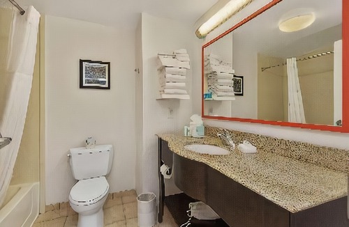 Apopka Hotel | Hampton Inn & Suites Orlando-Apopka
