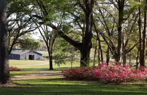 Citra Apartment | "HIDEOUT" 2-bedroom Downstairs Apartment In Gated Horse Farm