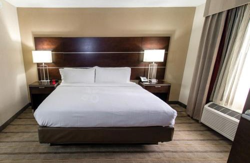 Paw Creek Hotel | Holiday Inn Charlotte Airport by IHG