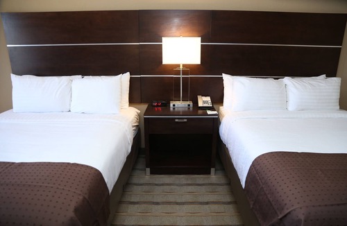 Paw Creek Hotel | Holiday Inn Charlotte Airport by IHG