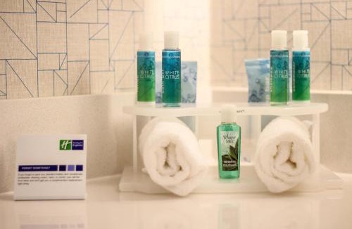 Seybold Hotel | Holiday Inn Express & Suites Miami Airport East by IHG