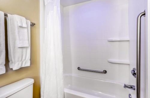 Silver Springs Hotel | Holiday Inn Express Silver Springs - Ocala by IHG