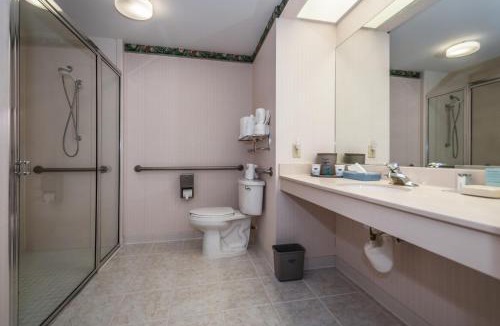United Central Hotel | Holiday Inn - St. Petersburg West by IHG