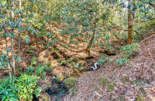 Topton House | Hot Tub & Streamside Bliss! Topton Mtn Haven