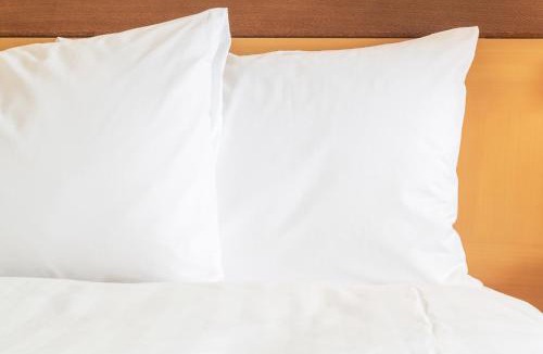College Park Hotel | Hotel Indigo Atlanta Airport College Park by IHG