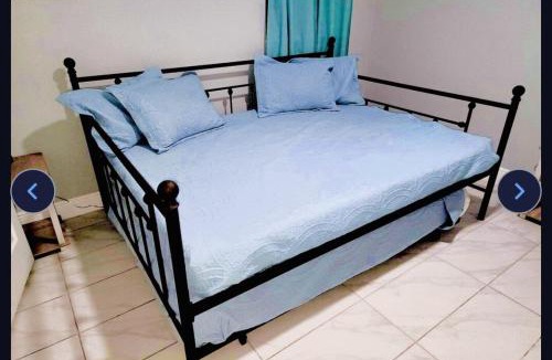Crystal River House | House of Manatees-Entire house with yard, fire pit, dog friendly