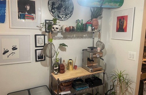 Clinton Hill Apartment | Huge duplex with private back yard in Clinton hill.