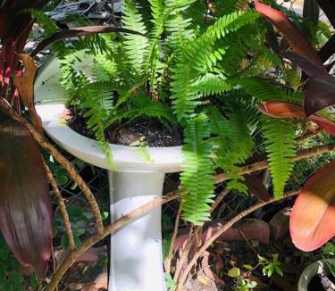 Coral Way Apartment | Independent Studio in Little Havana