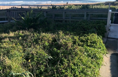 Ormond-by-the-Sea Condo | Indies House Ormond Beach Condo
