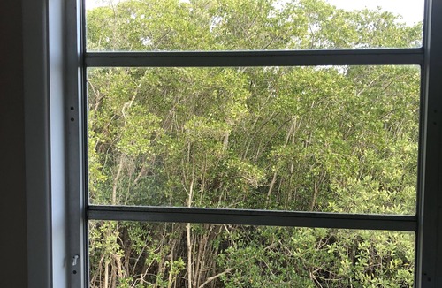 Saint James City Cottage | Island TreeTop House, Pet friendly