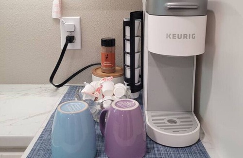 South Bradenton Apartment | Lady Palm: 2/1 w garden vibes three miles to IMG
