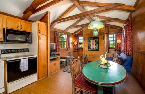 Seminole Cabin | Lakefront Cabin #405, 10mins to Beach/Dog Friendly/Prime Location/BOOK TODAY
