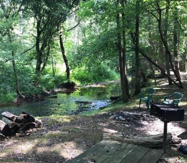 Tellico Plains House | Large Mountain Creek! Cabin in Tellico Plains