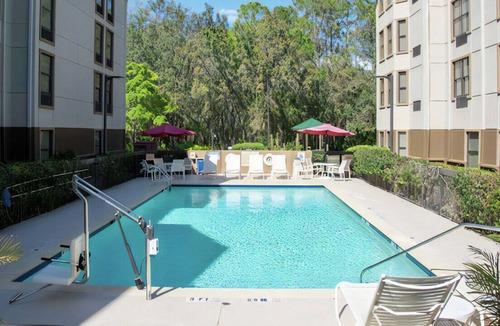 Bearss Plaza House | Lavish King Experience! Free Breakfast & WiFi