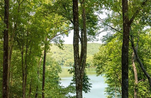 Big Canoe Cottage | Little Deer Lodge|Charming|Stunning Mllion $ View|