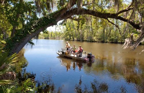 Freeport Other | Live Oak Landing