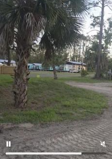 Steinhatchee Other | Livin the dream