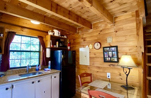 Ellijay Cabin | Log! Tiny home.Pond view.Owner built.Old growth secluded woods yet near town.